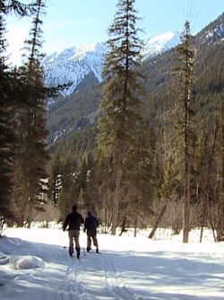 Cross Country Skiing Panorama's Trails